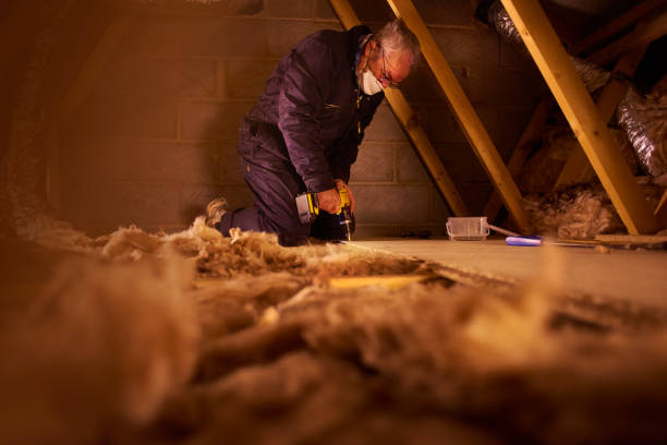 Best Best Insulation Companies  in Hawaiian Paradise Park, HI